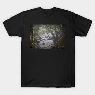 Foggy Creek T-Shirt